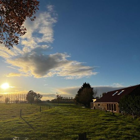 Bloemendale Guesthouse Brugge Eksteriør bilde