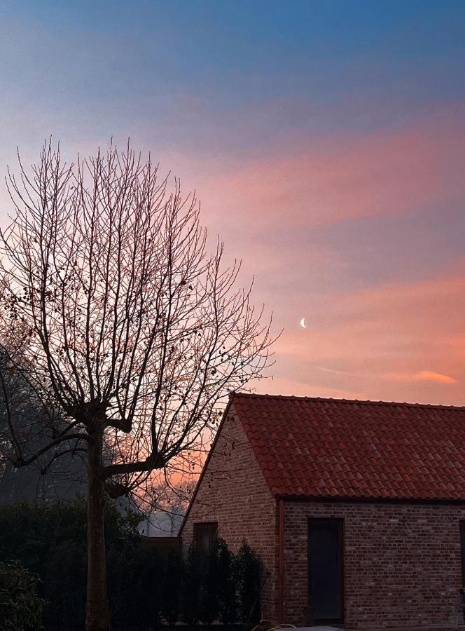 Bloemendale Guesthouse Brugge Eksteriør bilde